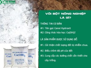 Vôi công nghiệp là gì? Ưu điểm và ứng dụng của bột vôi trong công nghiệp là gì?
